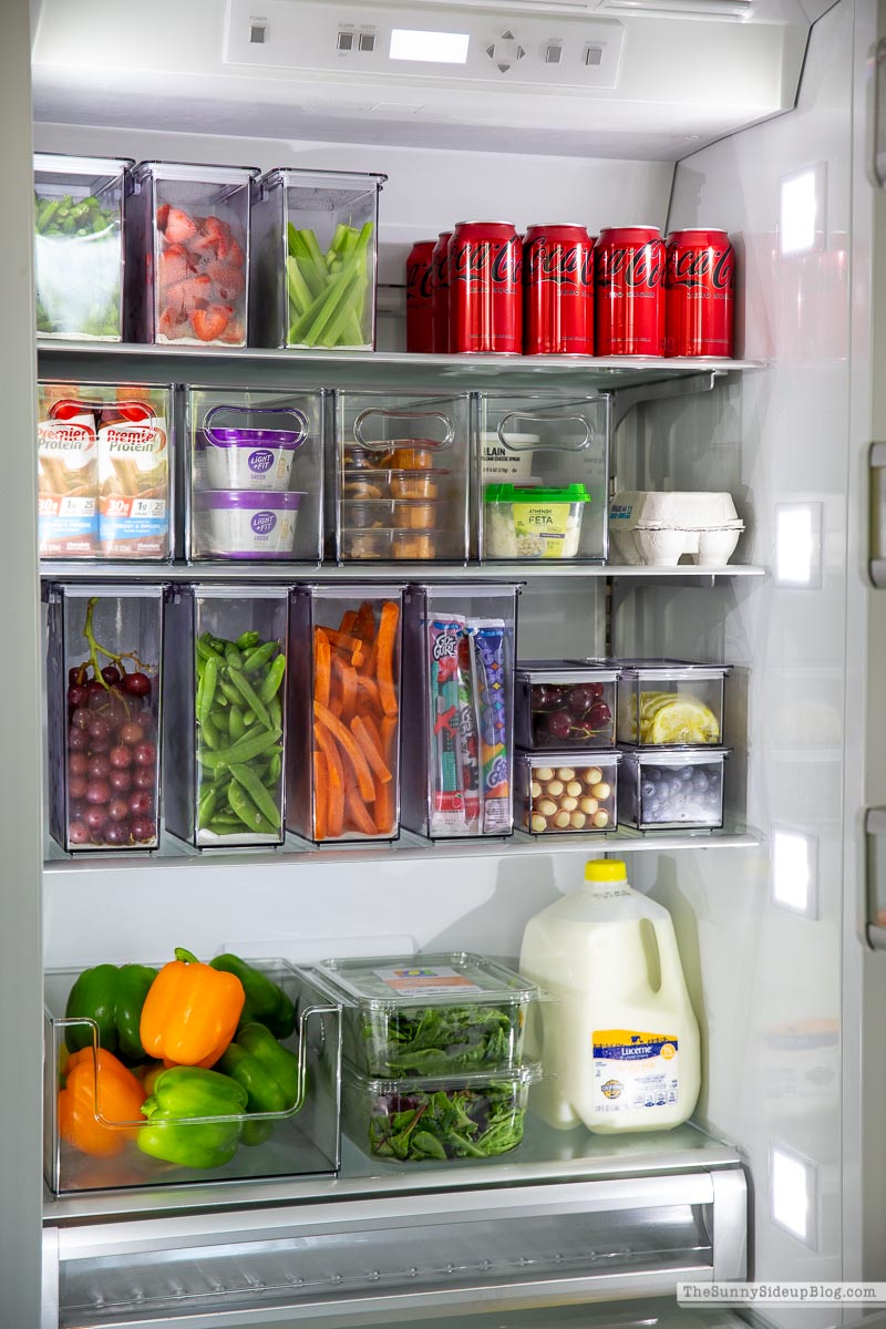 Favorite Organizers (Sunny Lifestyles)