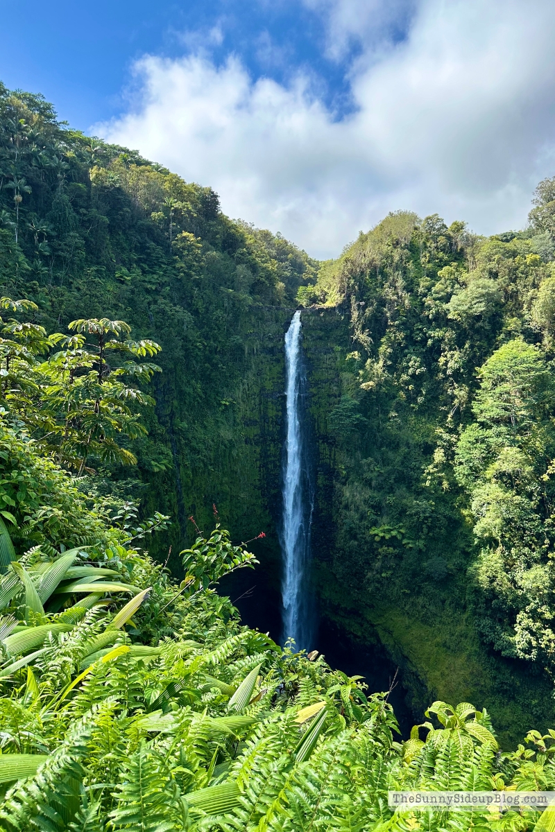 Hawaii big island tips (Sunny Lifestyles)
