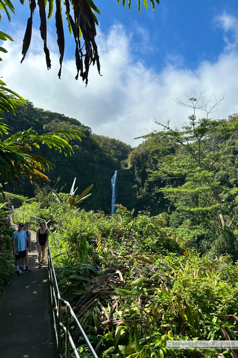 Hawaii big island tips (Sunny Lifestyles)
