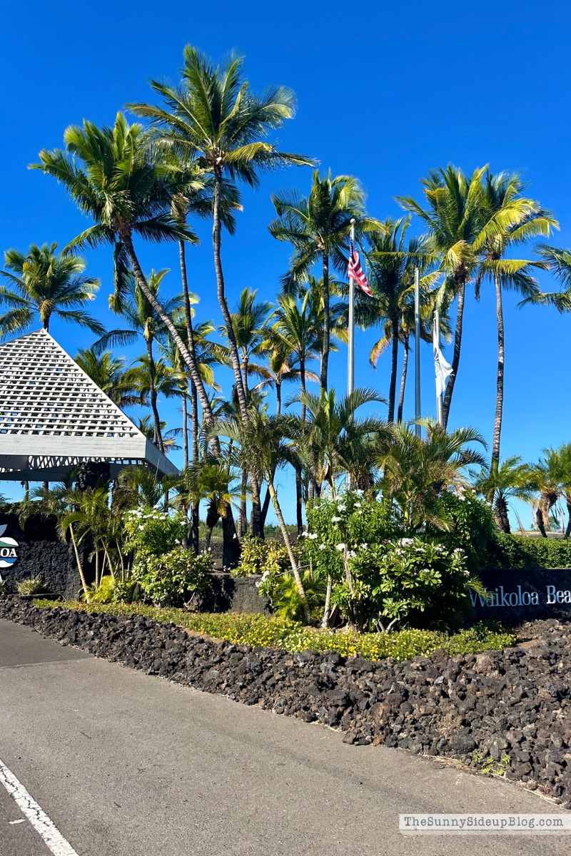 Hawaii big island tips (Sunny Lifestyles)