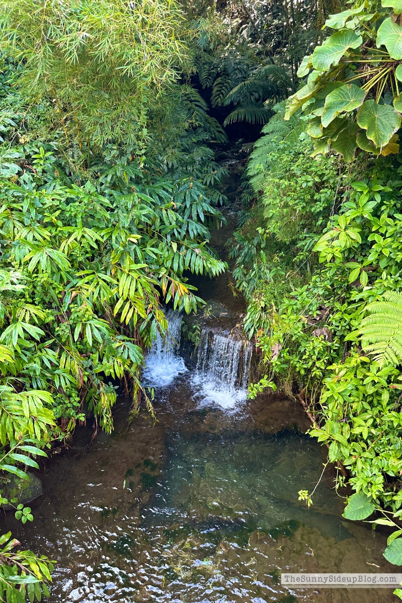 Hawaii big island tips (Sunny Lifestyles)