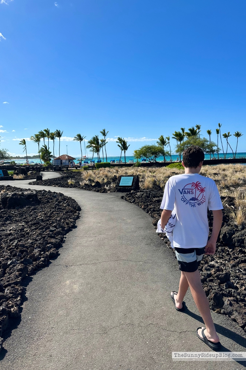 Hawaii big island tips (Sunny Lifestyles)