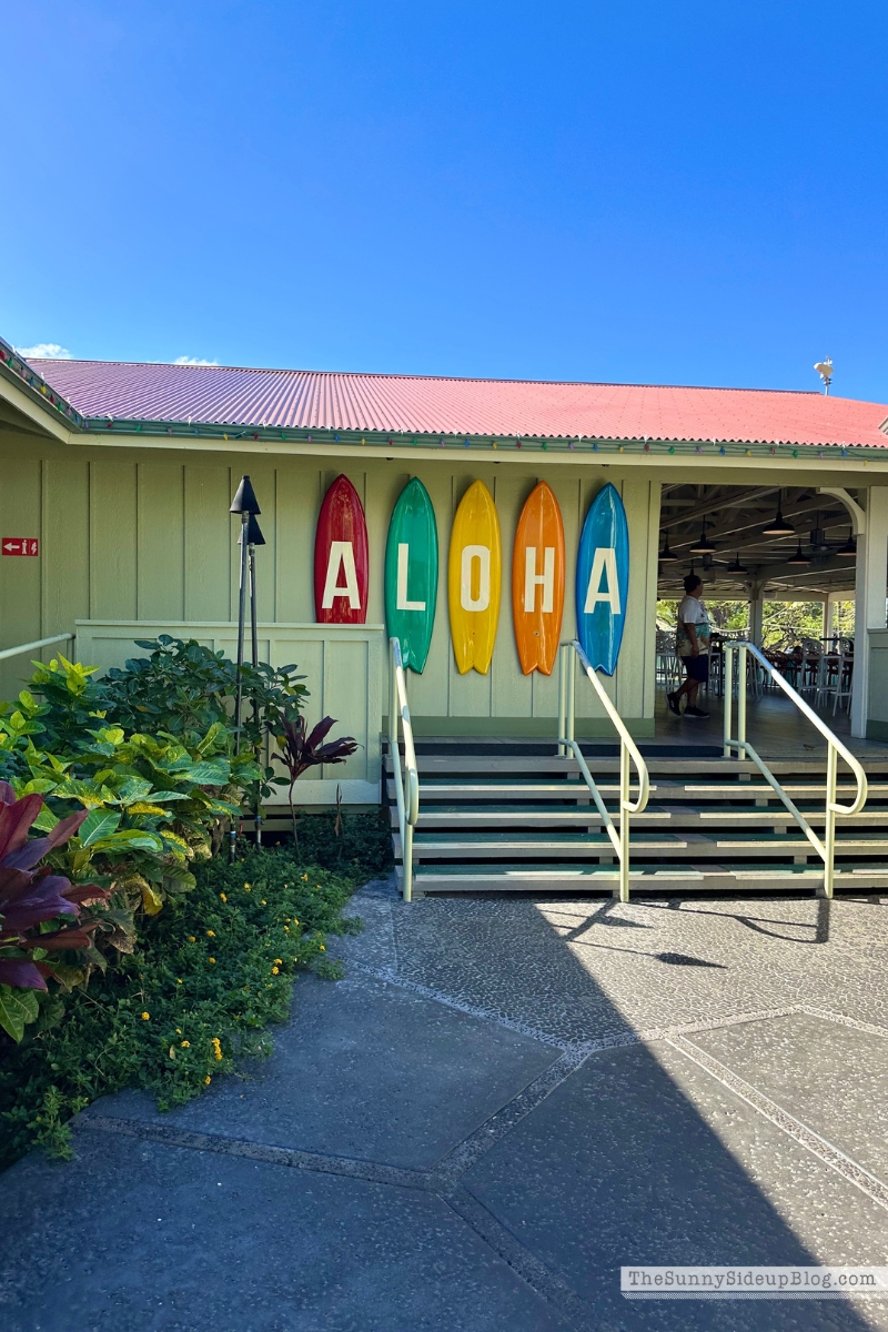 Hawaii big island tips (Sunny Lifestyles)