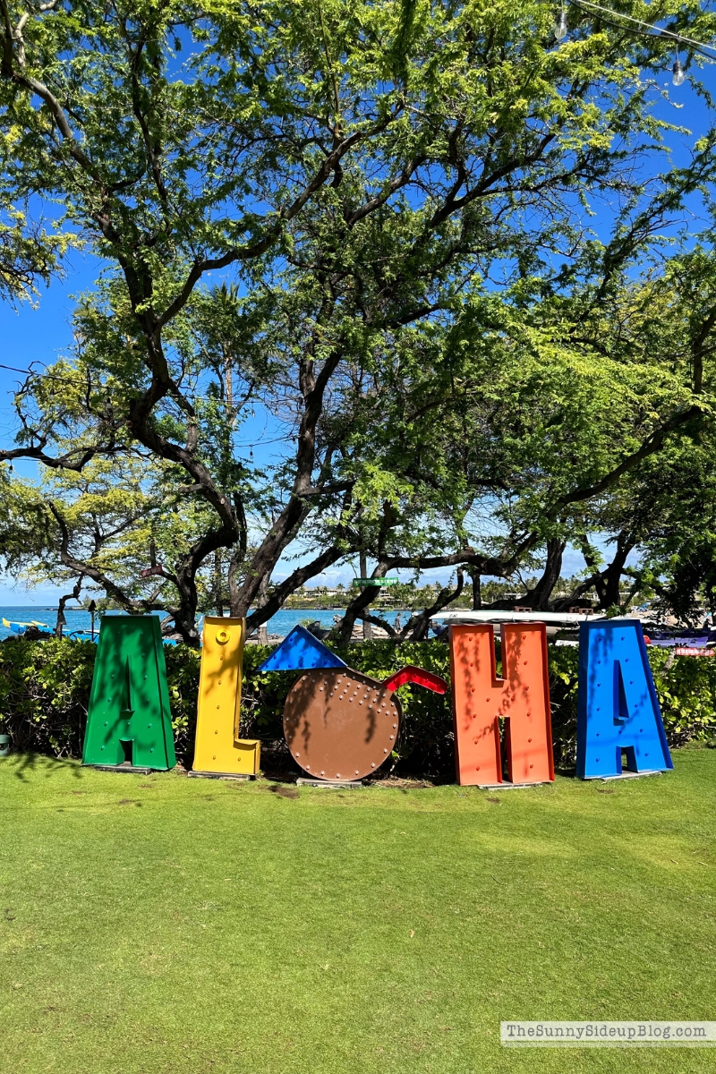 Hawaii big island tips (Sunny Lifestyles)
