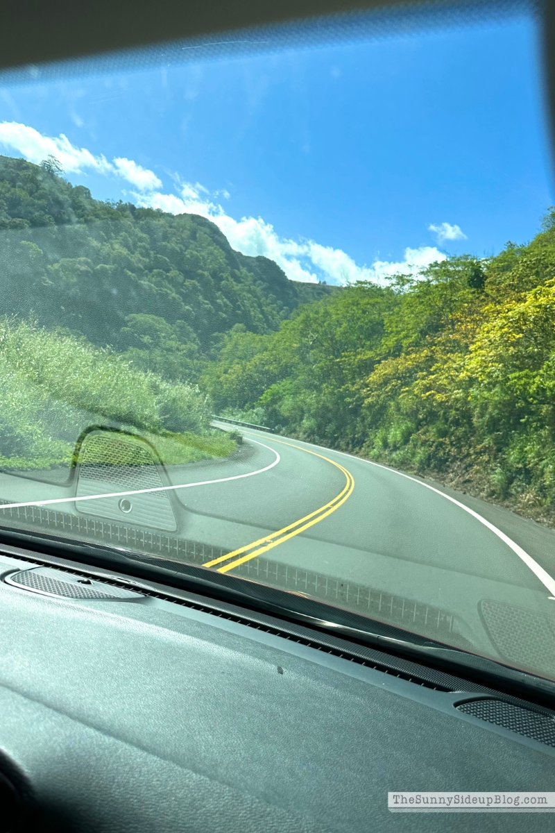 Hawaii big island tips (Sunny Lifestyles)