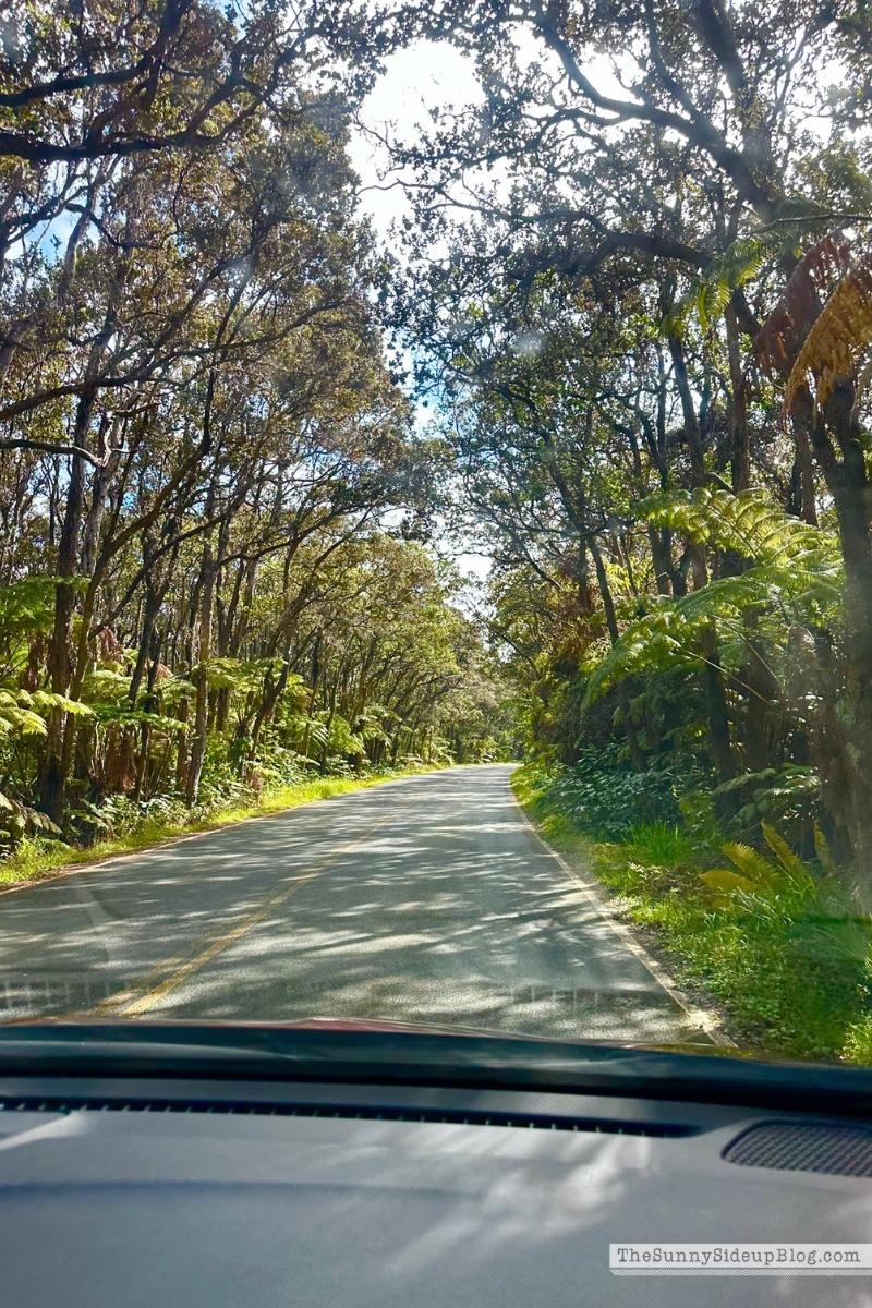 Hawaii big island tips (Sunny Lifestyles)
