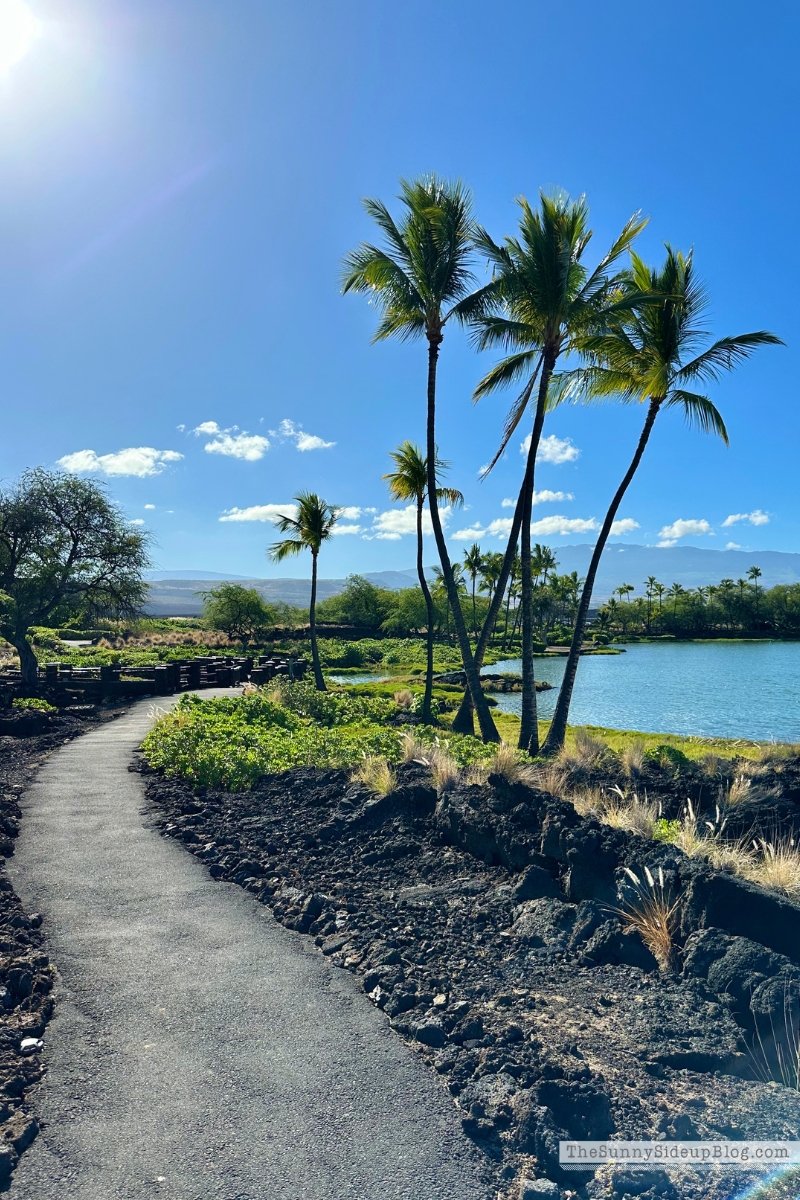 Hawaii big island tips (Sunny Lifestyles)