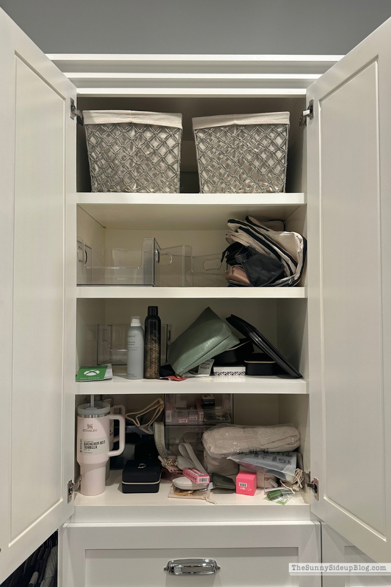 Organized Closet (Sunny Lifestyles)