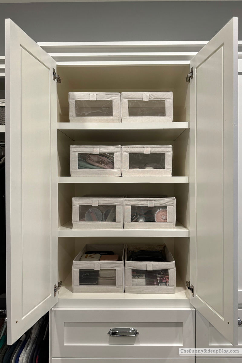Organized Closet (Sunny Lifestyles)