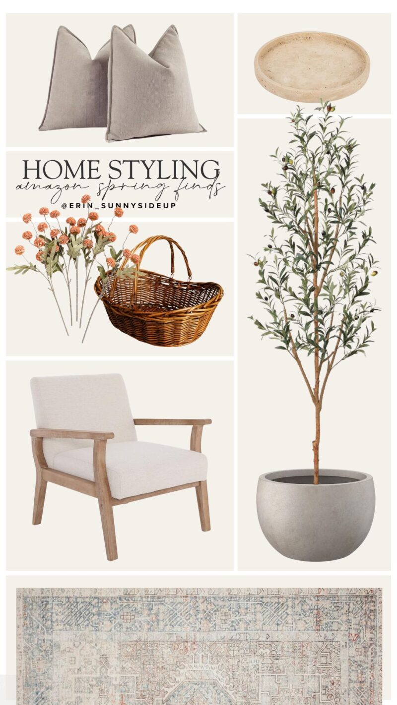Amazon Home Style (Sunny Lifestyles)