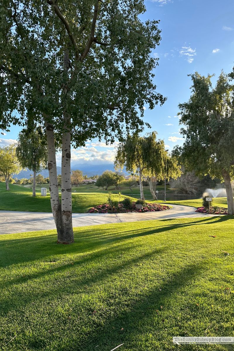 Palm Springs 2 (Sunny Lifestyles)