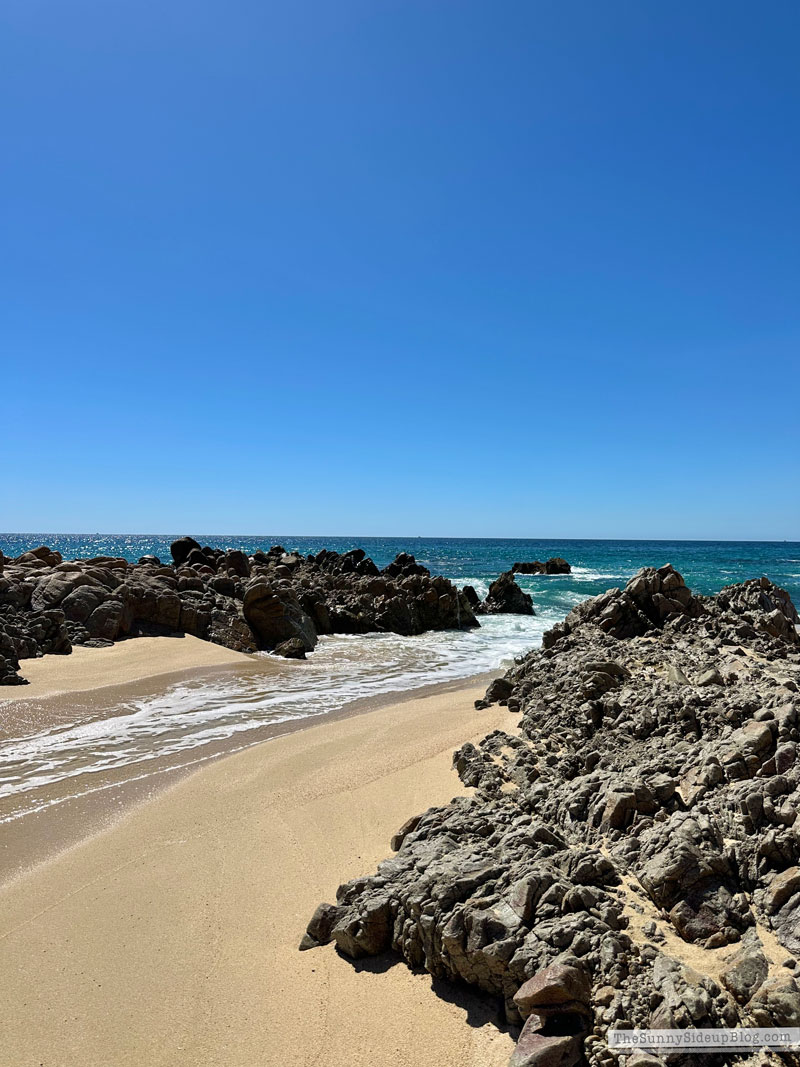 Cover-Ups and Cabo (Sunny Lifestyles)
