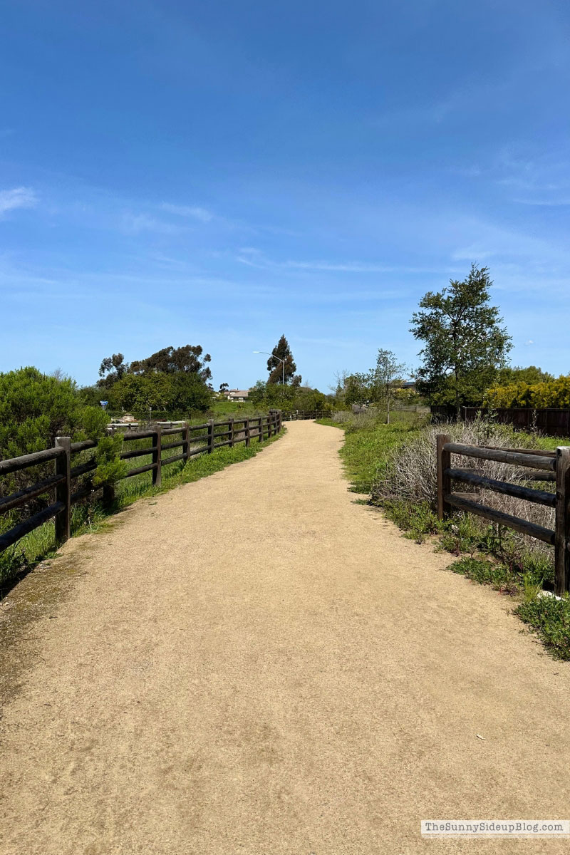 walking trail (Sunny Lifestyles)