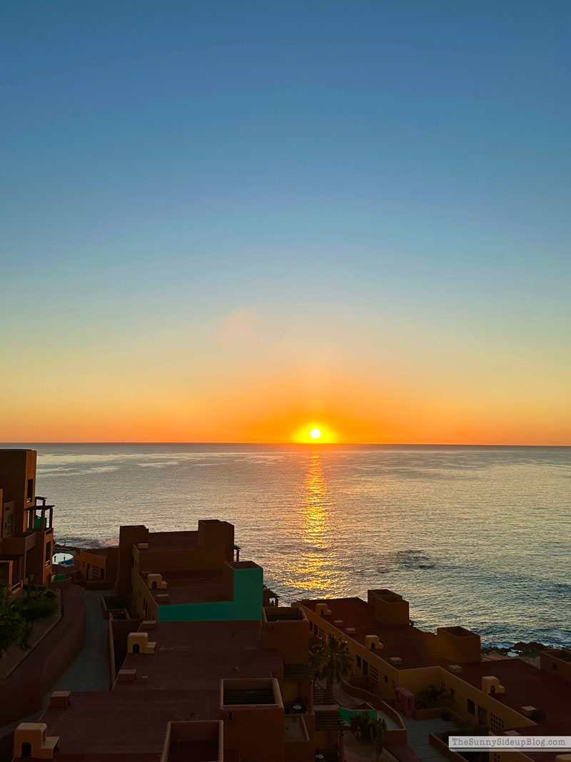 Cover-Ups and Cabo (Sunny Lifestyles)