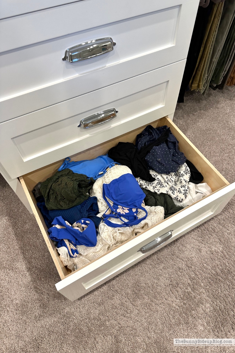 Swimsuit Organization (Sunny Lifestyles)