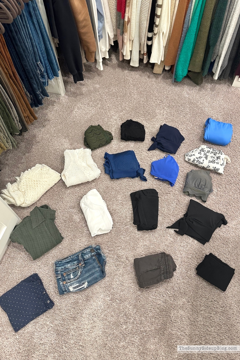 Swimsuit Organization (Sunny Lifestyles)