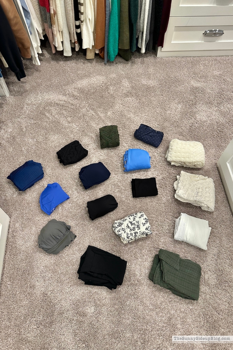 Swimsuit Organization (Sunny Lifestyles)