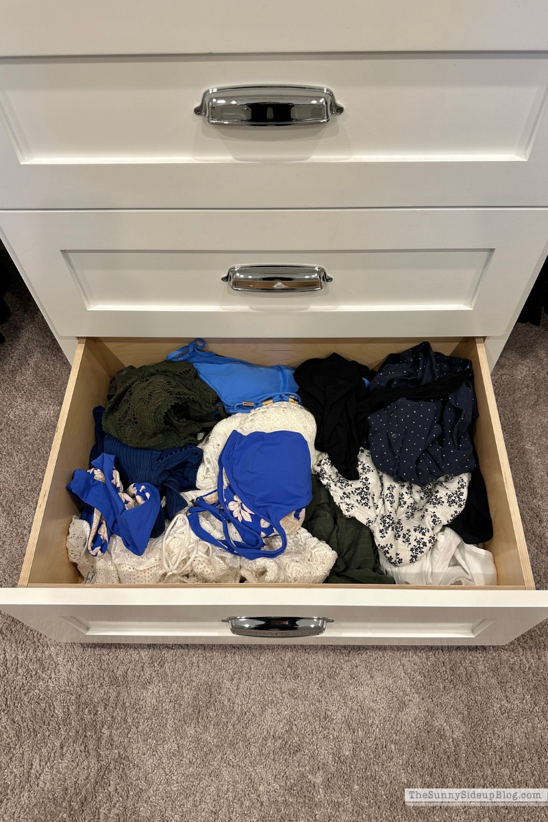 Swimsuit Organization (Sunny Lifestyles)