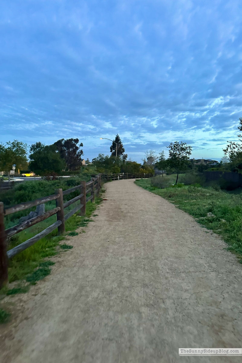 Walking Trail (Sunny Lifestyles)
