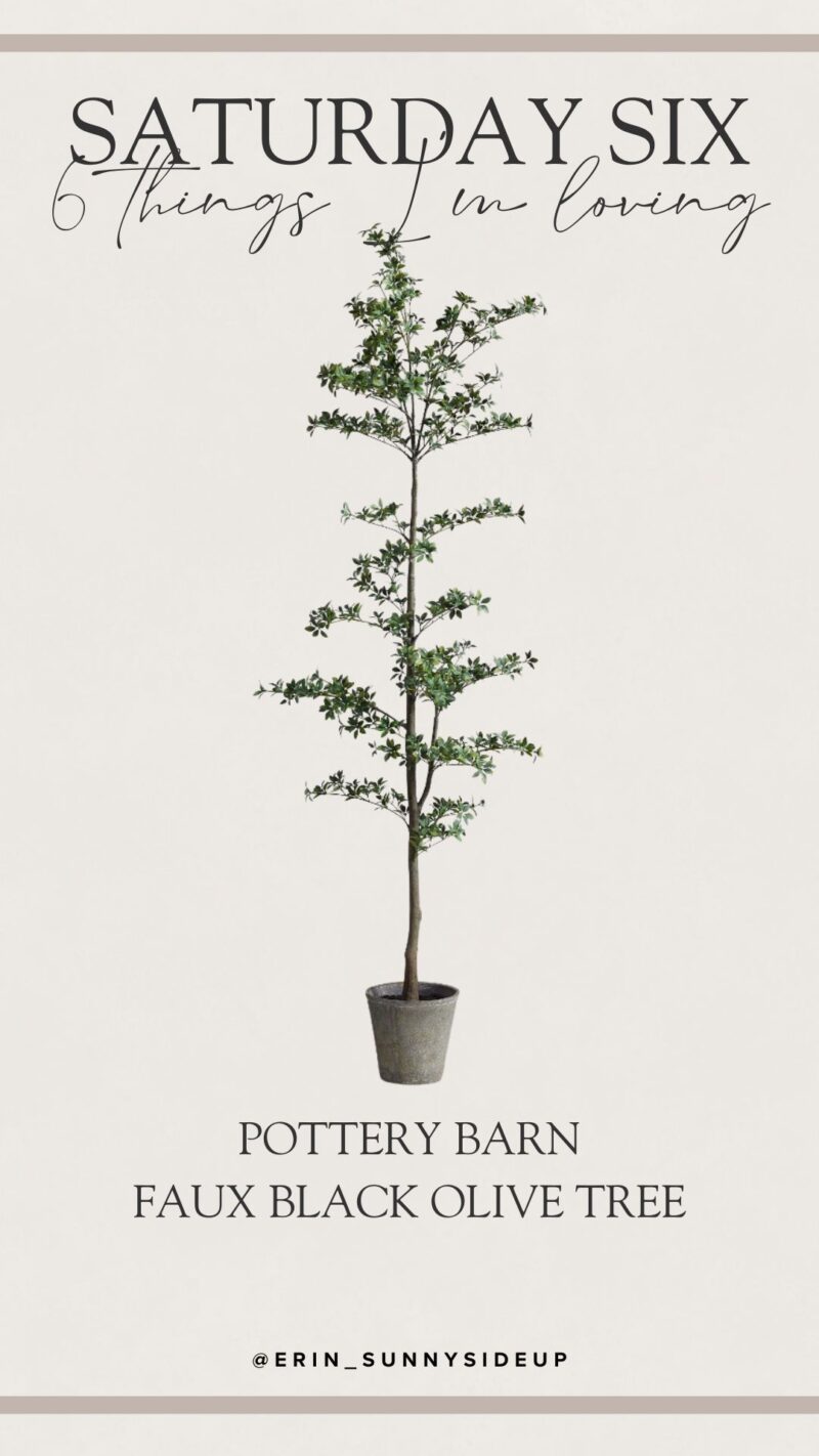 Pottery Barn Faux Olive Tree (Sunny Lifestyles)