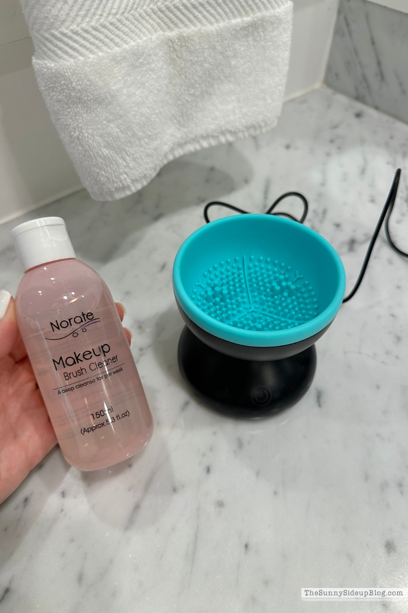 Brush Cleaner (Sunny Lifestyles)