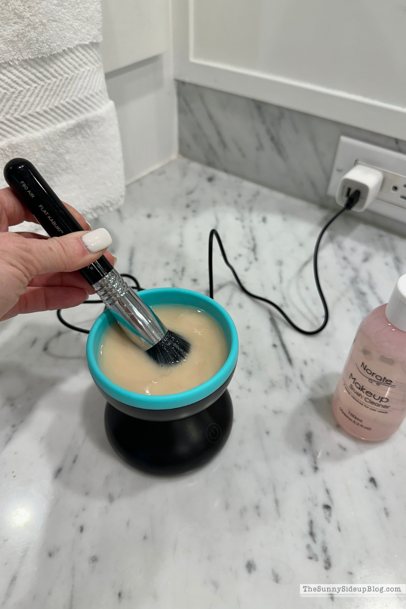 Brush Cleaner (Sunny Lifestyles)