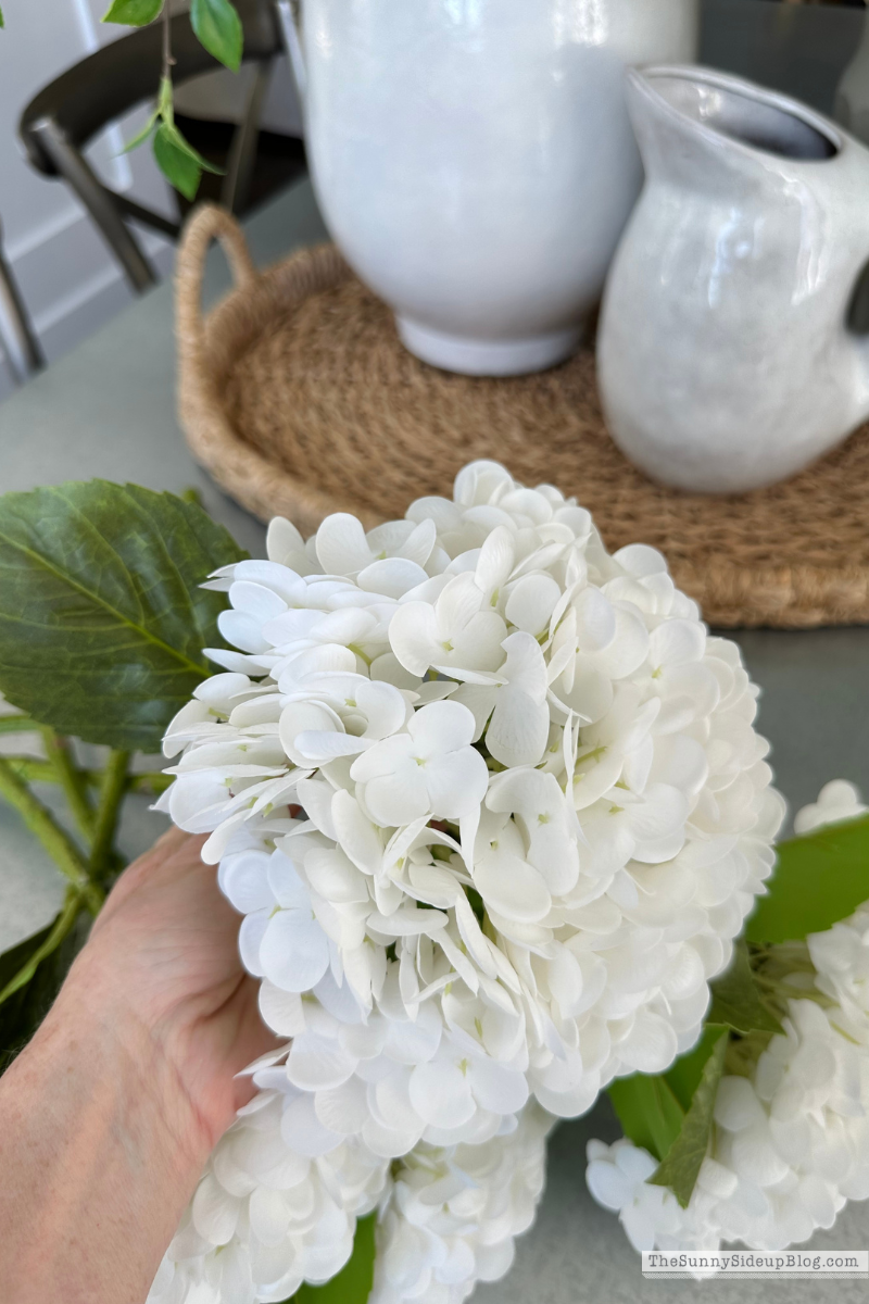 Flowers (Sunny Lifestyles)