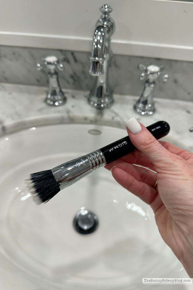 Makeup Brush (Sunny Lifestyles)