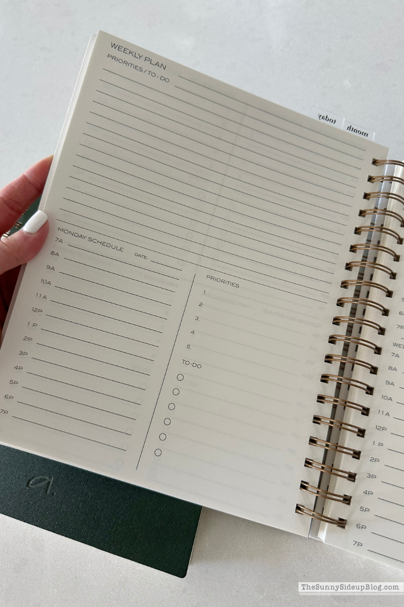 Planner (Sunny Lifestyles)