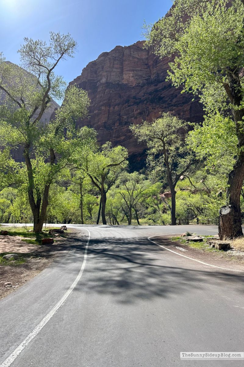 Zion (Sunny Lifestyles)