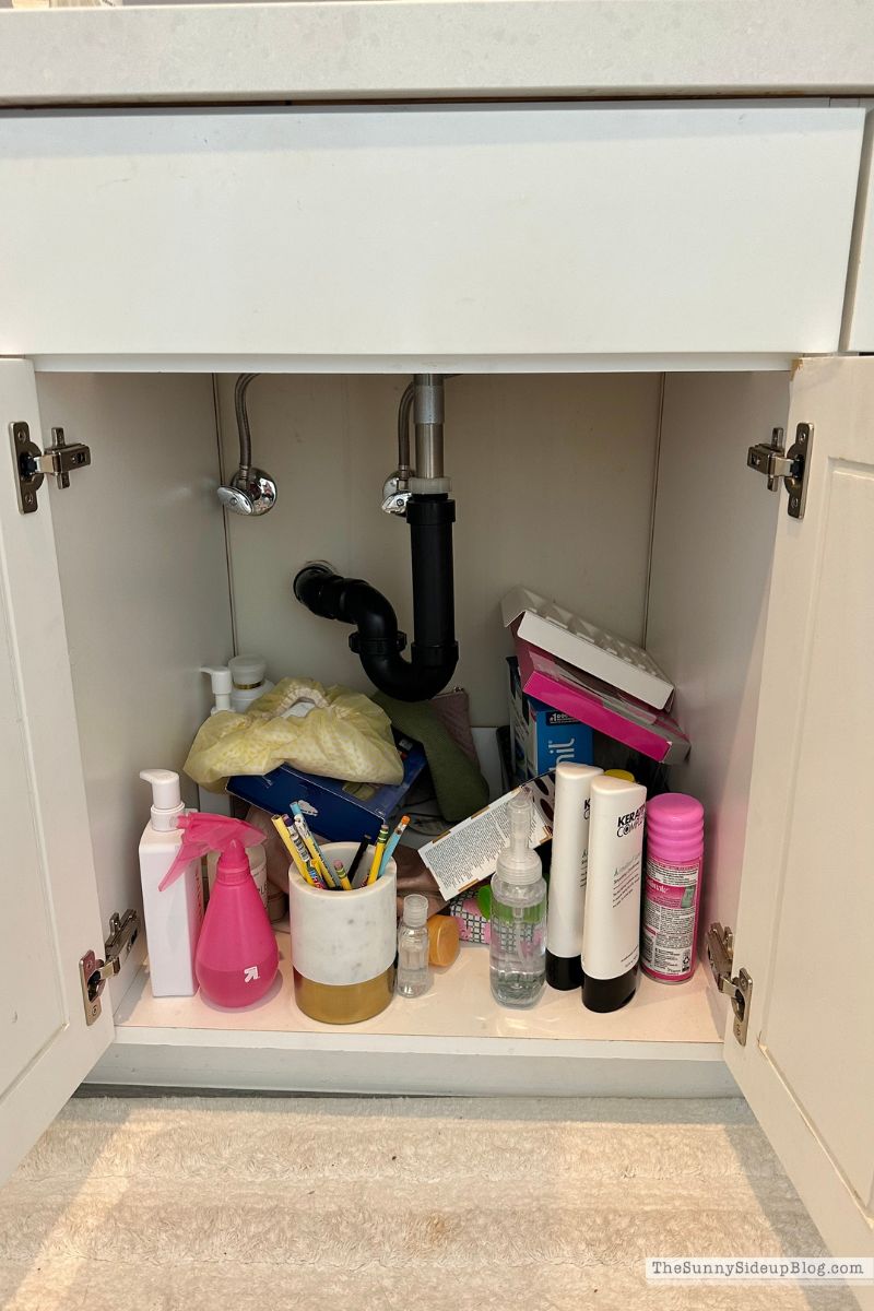 Organized Bathroom (Sunny Lifestyles)
