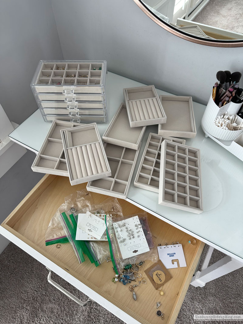 Organized Jewelry (Sunny Lifestyles)