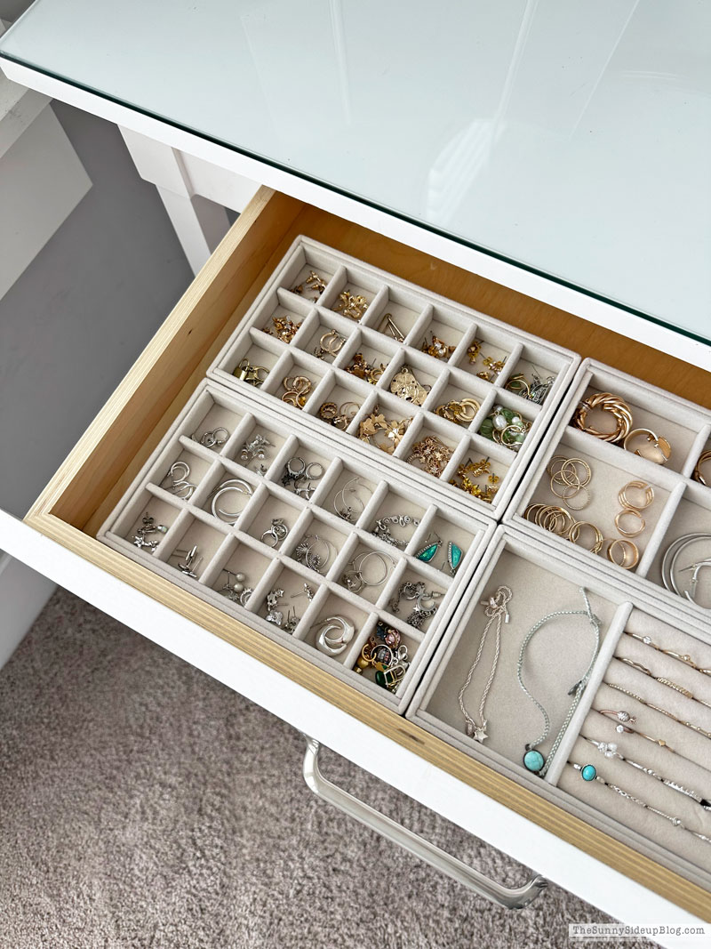 Organized Jewelry (Sunny Lifestyles)