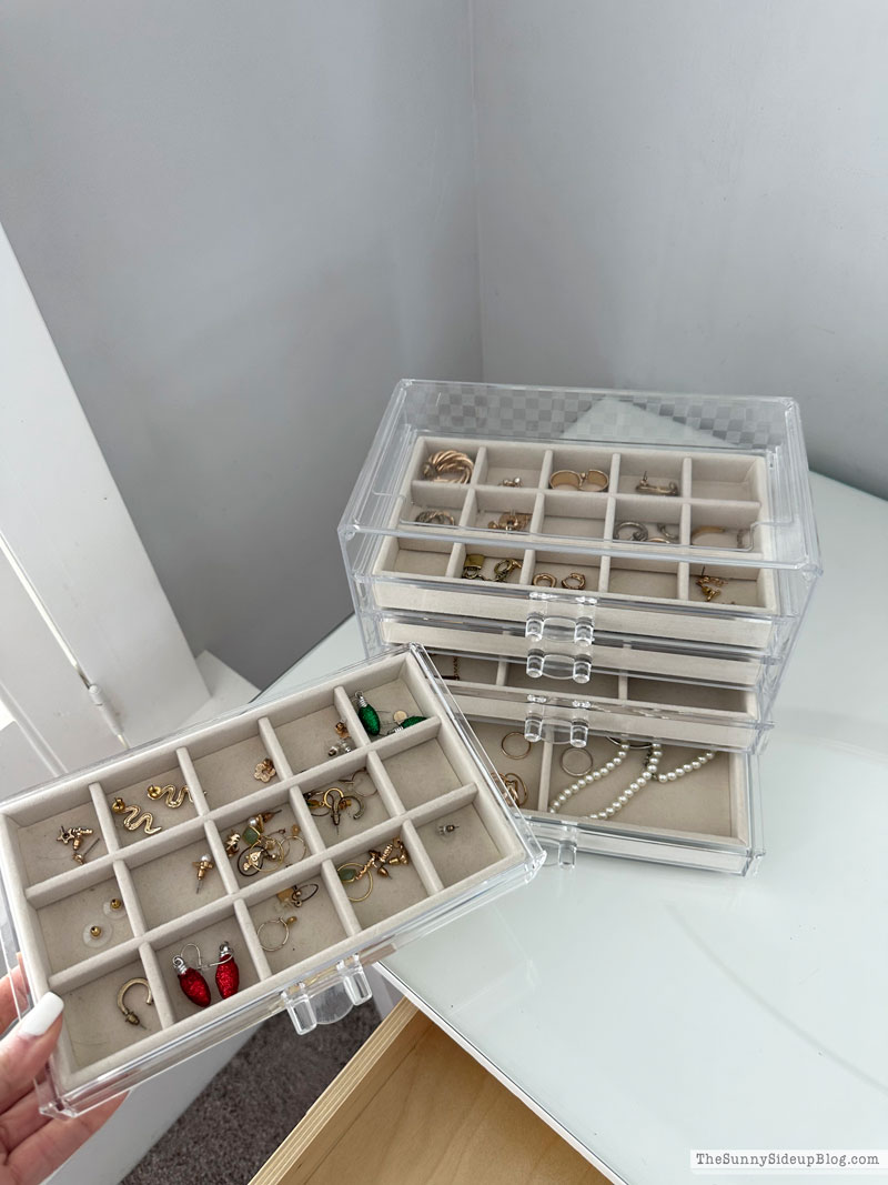 Organized Jewelry (Sunny Lifestyles)