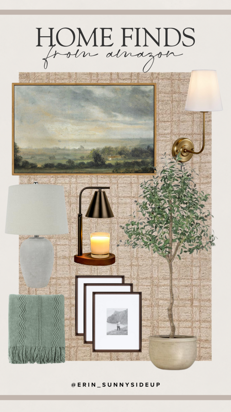 Amazon Home (Sunny Lifestyles)