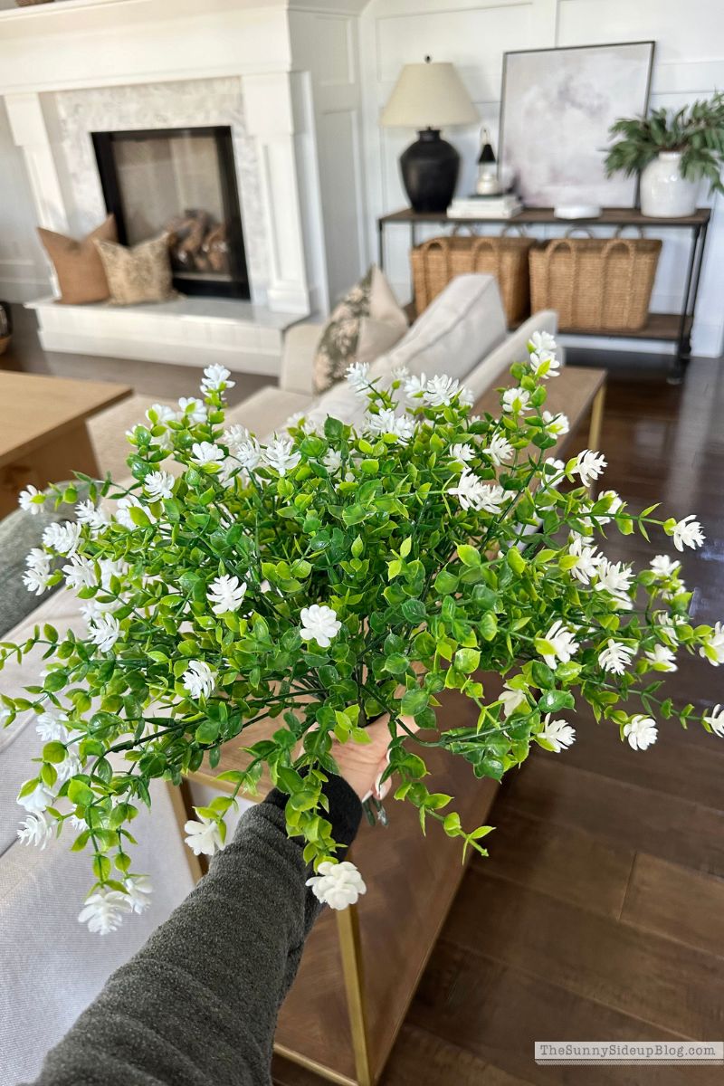 Faux Plant (Sunny Lifestyles)
