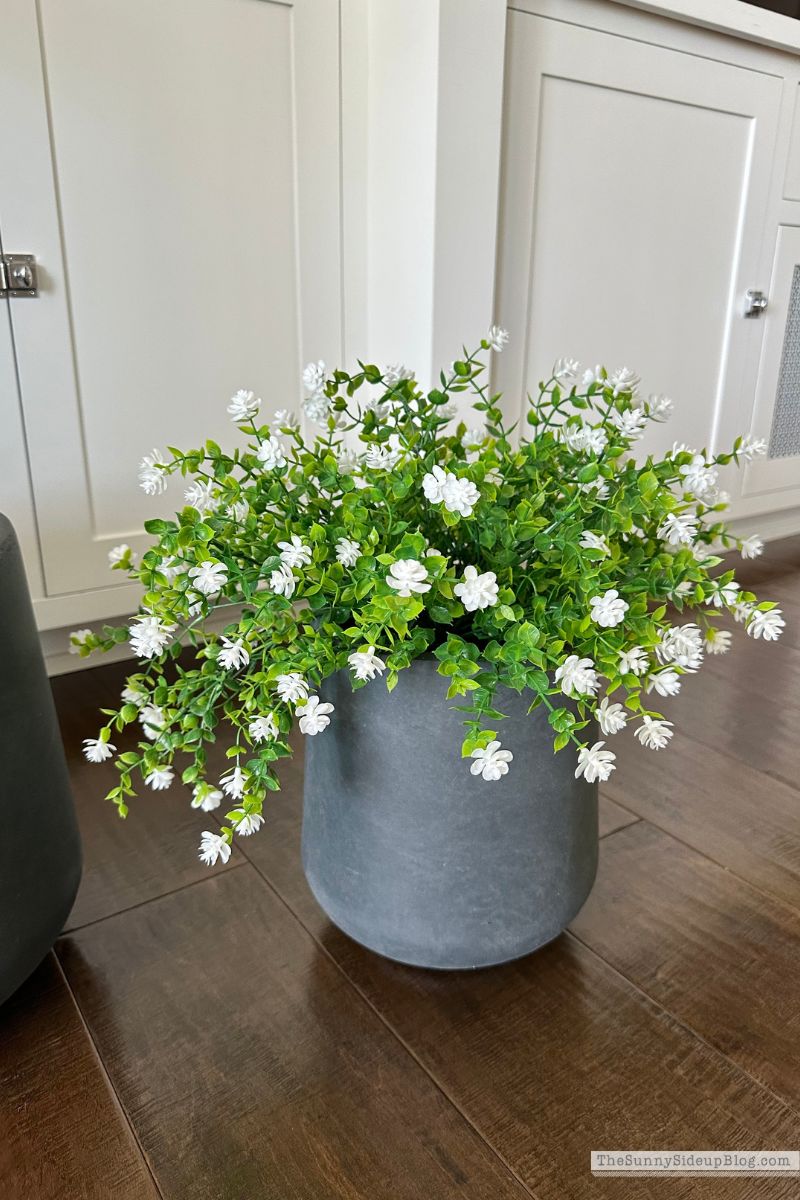 Faux Plant (Sunny Lifestyles)