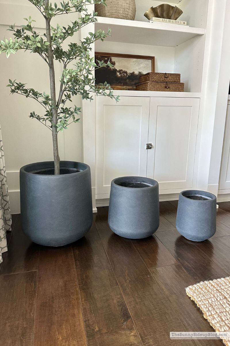 Planters (Sunny Lifestyles)