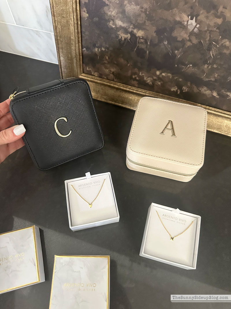 jewelry case (Sunny Lifestyles)