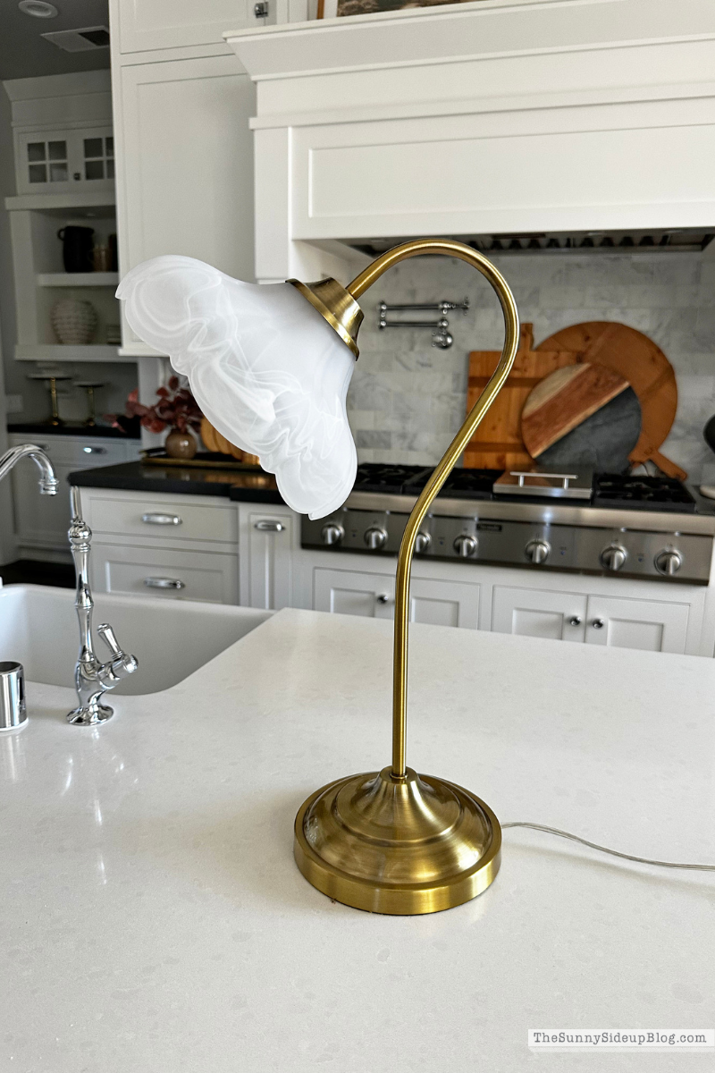 Cute Brass Lamp (Sunny Lifestyles)