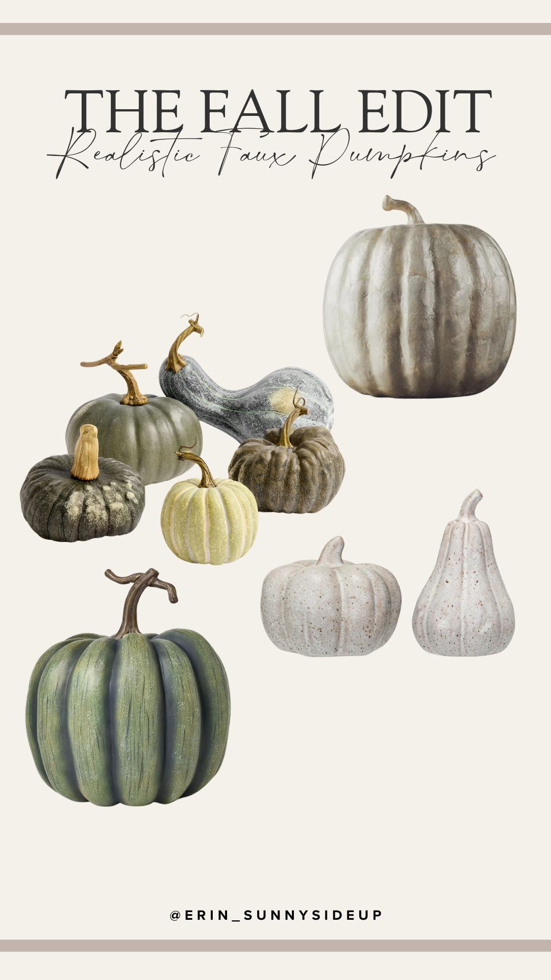 Decorative Pumpkins (Sunny Lifestyles)