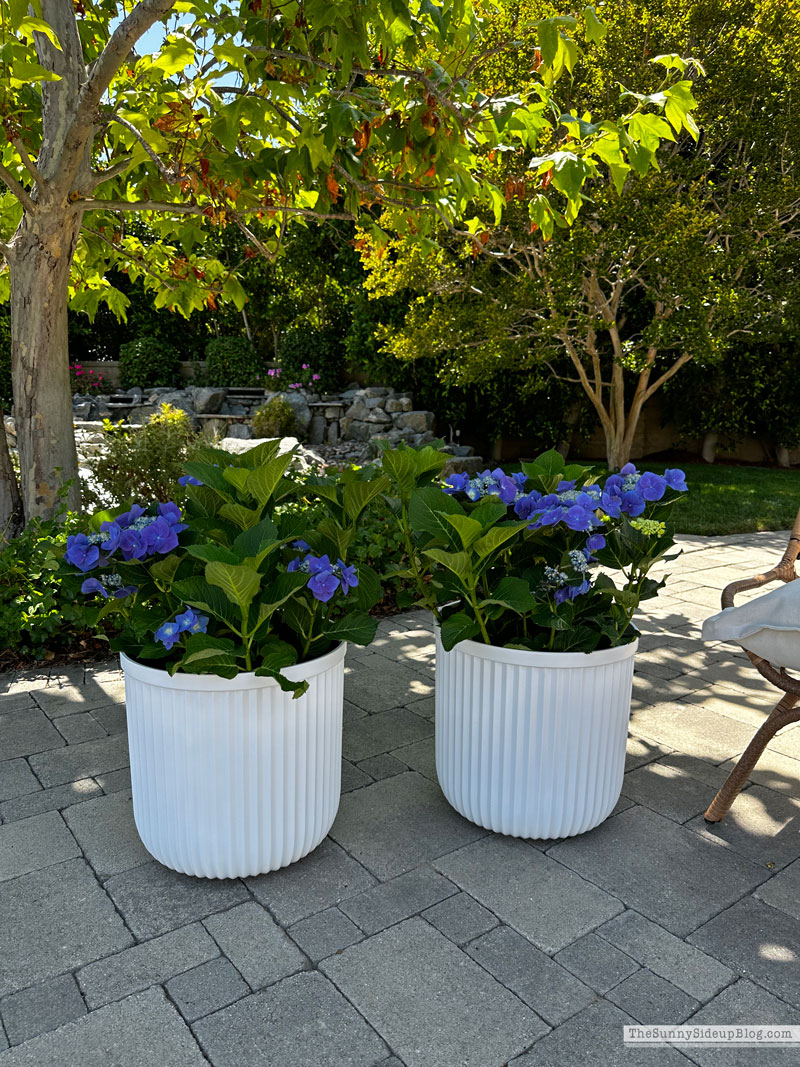 Saturday 6 (Sunny Lifestyles Blog)
