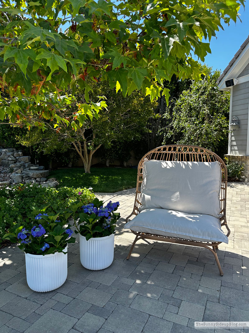 Saturday 6 (Sunny Lifestyles Blog)