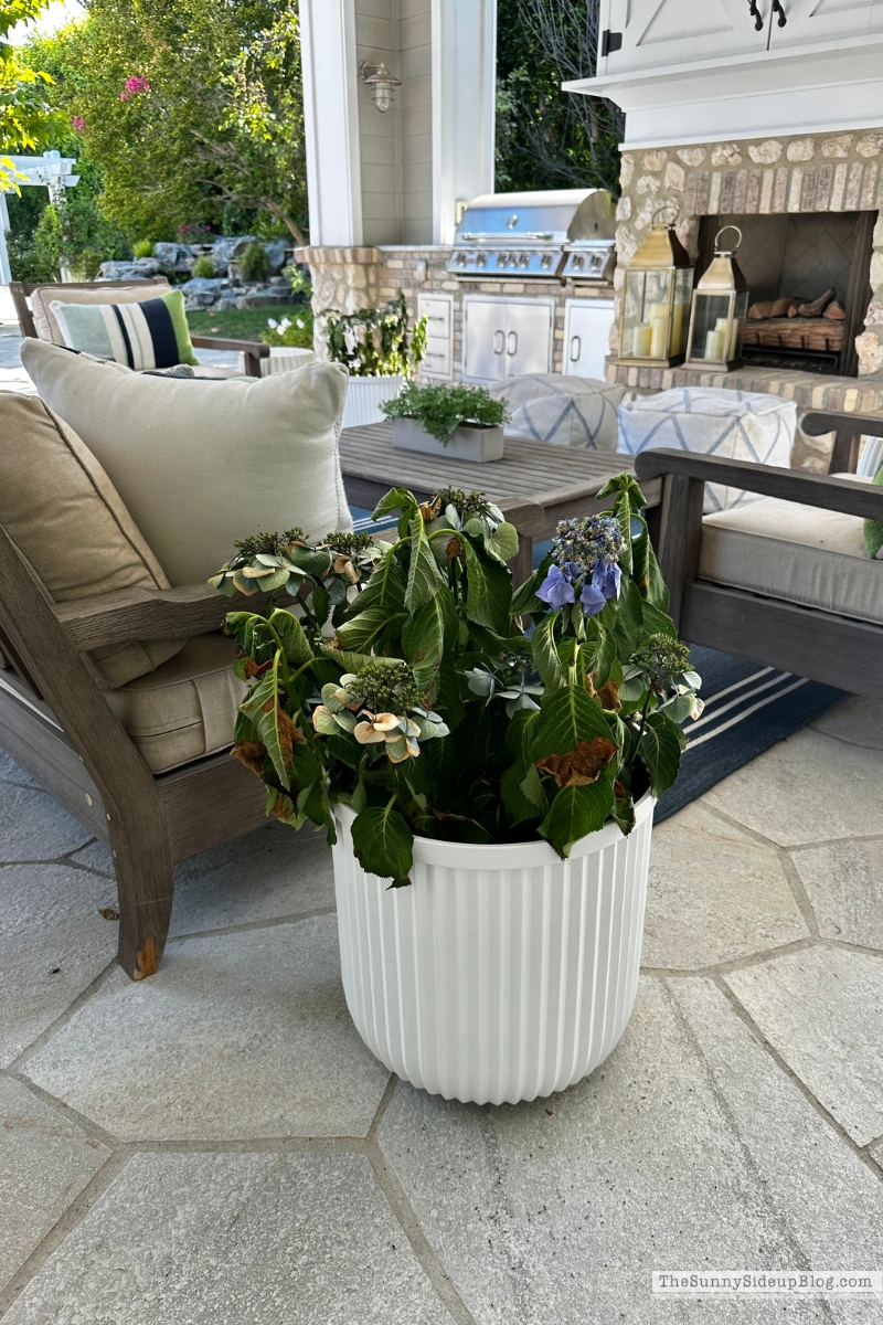 Saturday 6 (Sunny Lifestyles Blog)