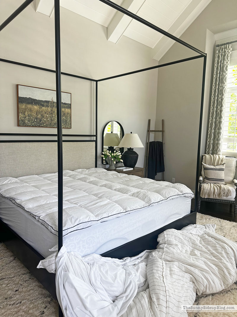 Mattress Cover (Sunny Lifestyles)