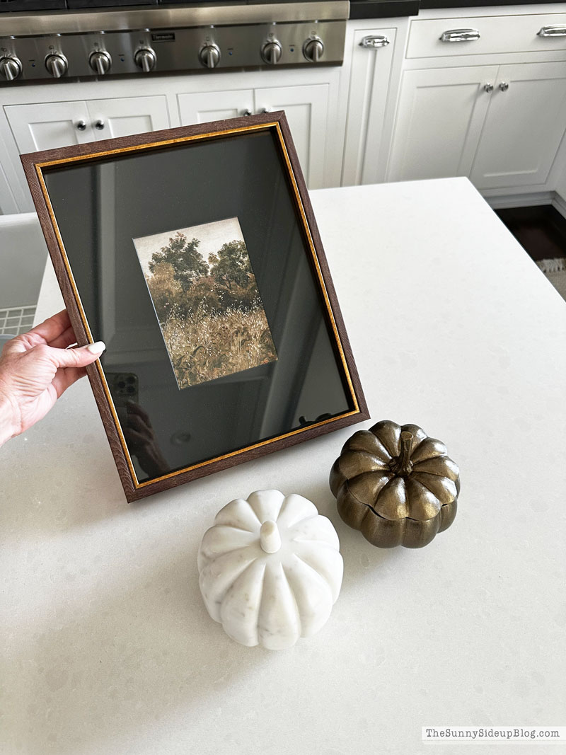 Saturday 6 (Sunny Lifestyles Blog)