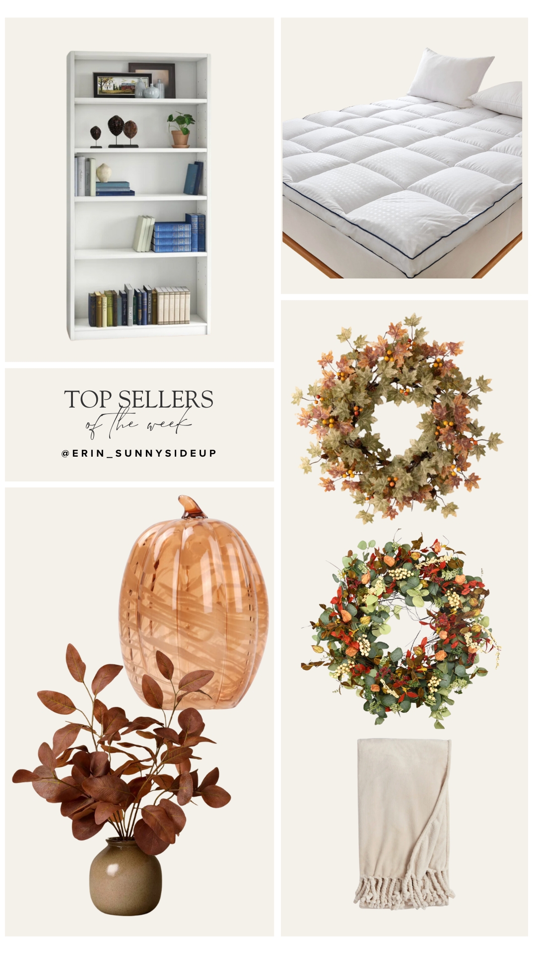 Sunday Edit (Sunny Lifestyles Blog)