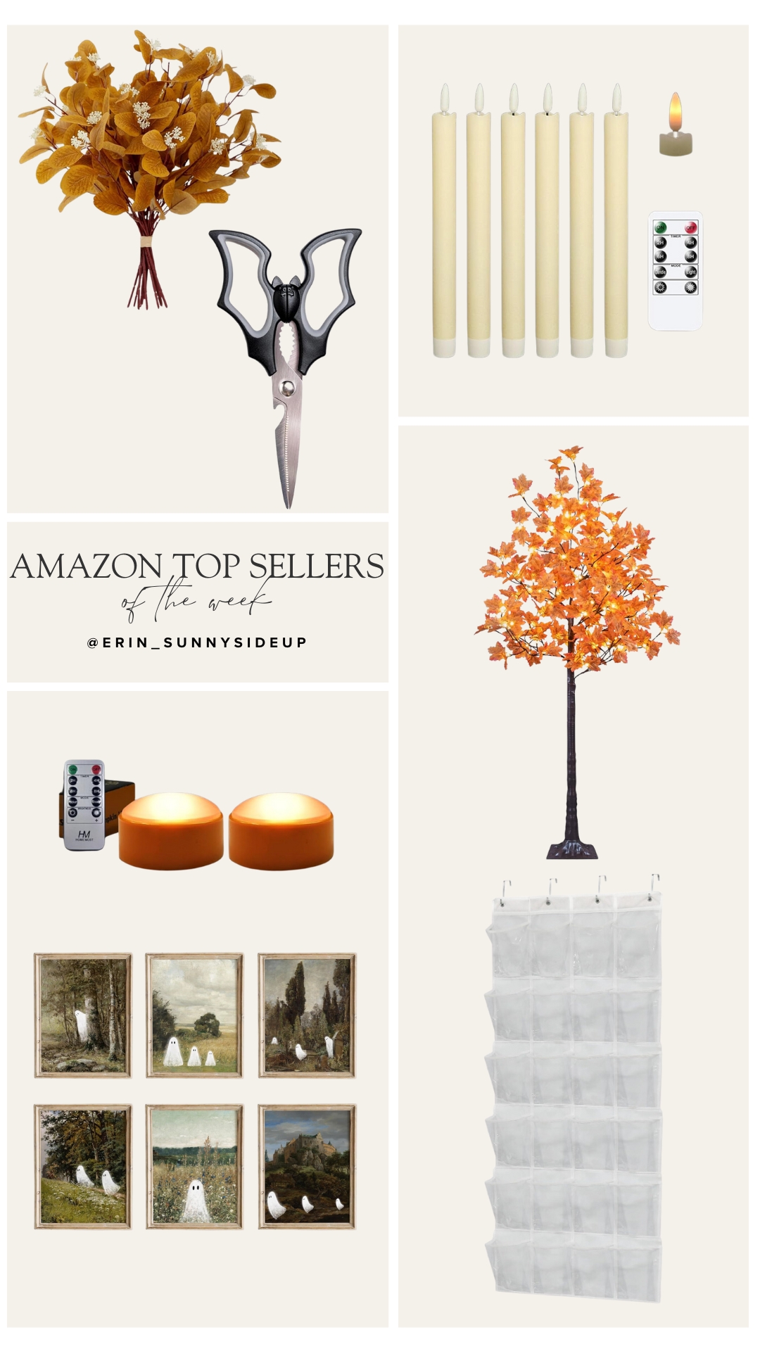Sunday Edit (Sunny Lifestyles Blog)