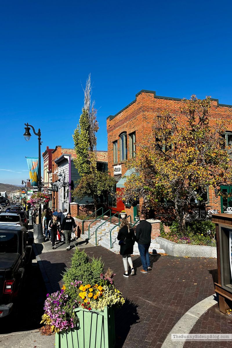 Park City (Sunny Lifestyles)
