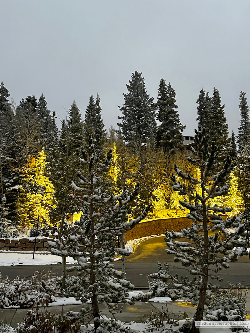 Park City (Sunny Lifestyles)